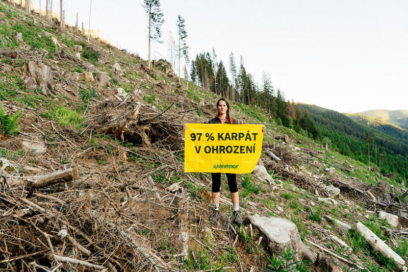 Standing in the deforested landscape, a Greenpeace Slovakia member calls attention to the devastation of the Carpathians.